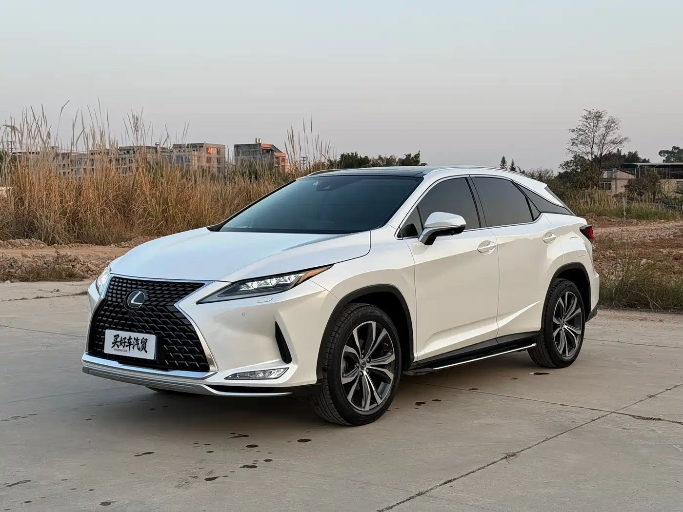Lexus RX 2020 300 4WD Elegance Edition China VI
