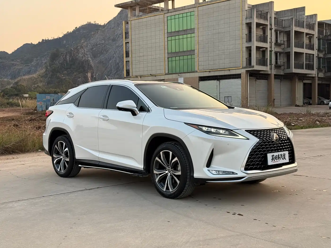 Lexus RX 2020 300 4WD Elegance Edition China VI фото 3