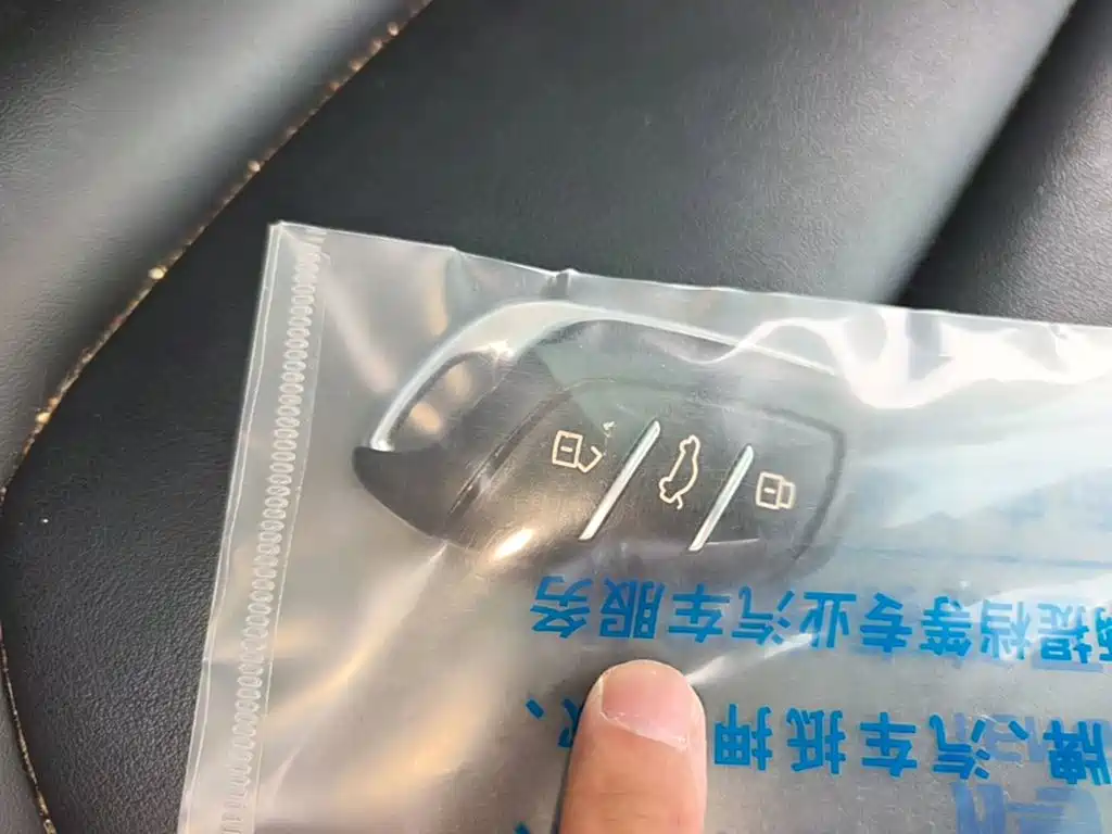 MG HS 2019 2018 20T Auto 2WD Hormone Power Edition (China V)