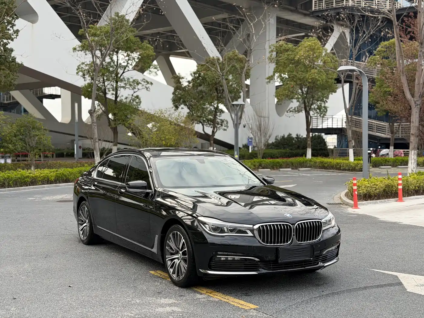 BMW 7 Series 2016 730Li Luxury фото 3