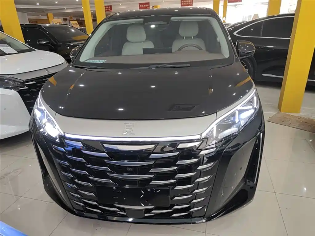 BYD Xia 2025 DM-i 1.5T 100km Surpass Edition фото 3