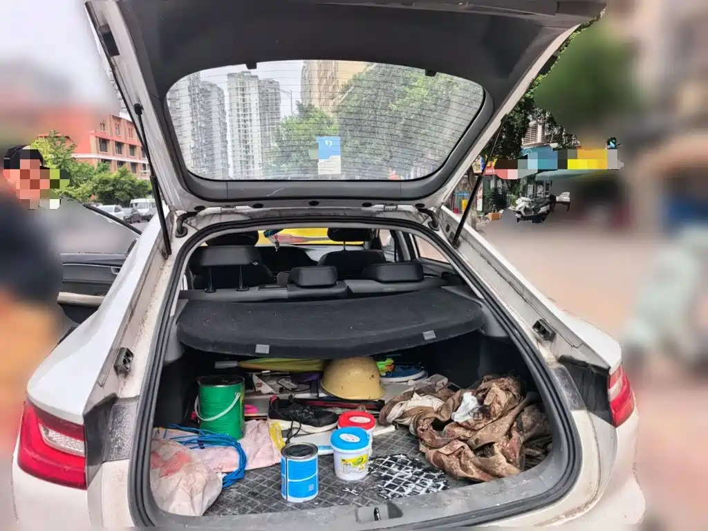 Baojun RC-6 2020 2019 1.5T CVT 24-hour Online Premium