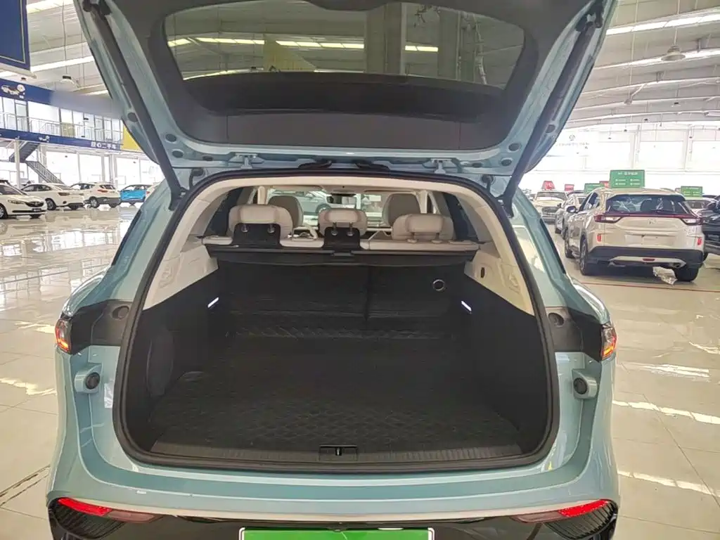 Voyah Free 2022 2021 AWD Standard Range Extender Exclusive Luxury Package