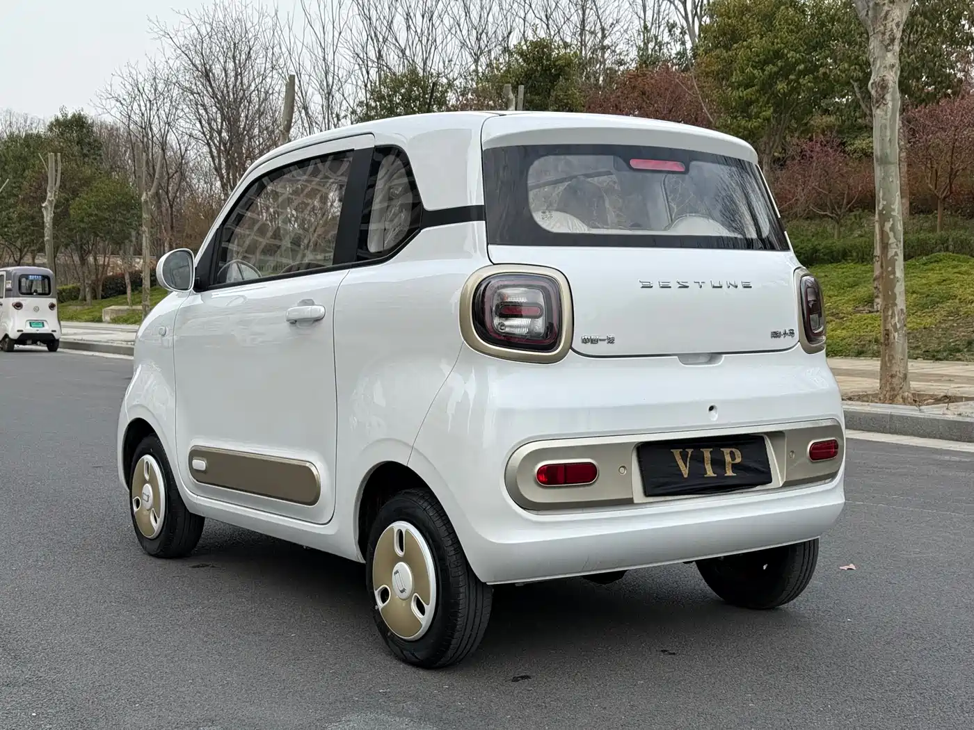 BESTUNE PENTIUM PONY