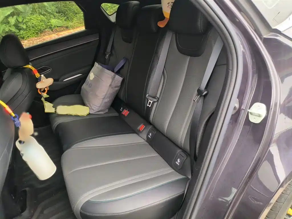 BYD Qin L 2025 DM-i Smart Drive 80KM Premium фото 15