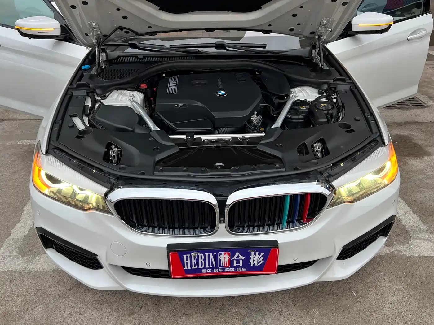 BMW 5 Series 2020 530Li Leading M Sport Package фото 12
