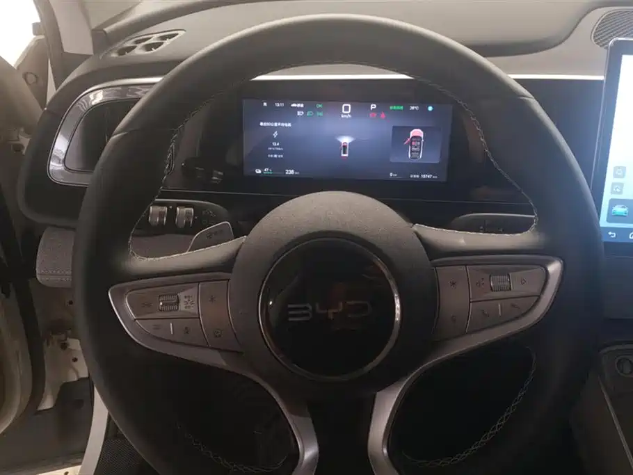 BYD Hai Shi 05 EV 2025 520KM Smart Navigation Edition фото 15
