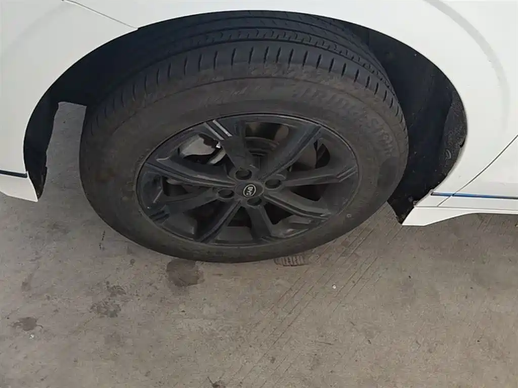 BYD e2 2021 Luxury Edition фото 23