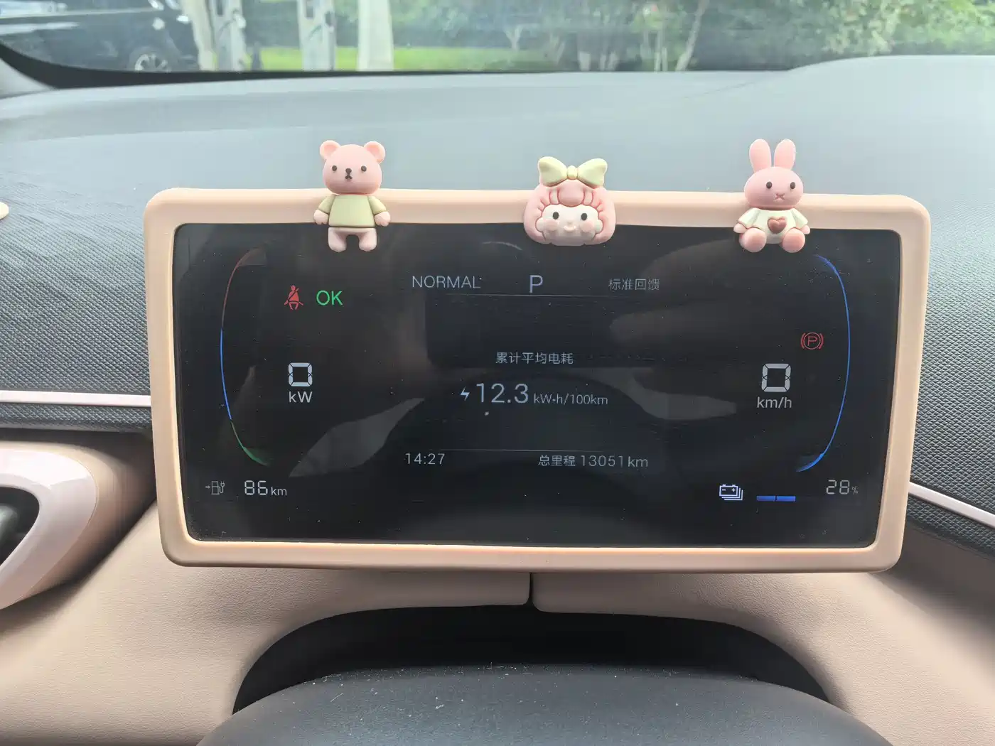 BYD Seagull 2025 Smart Drive Edition 305km Vitality Version фото 11