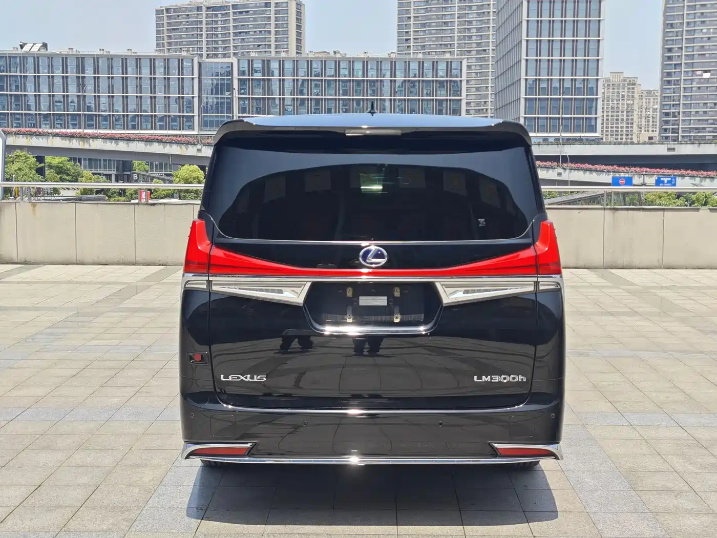 Lexus LM 2020 300h 4-Seat Imperial Edition фото 19