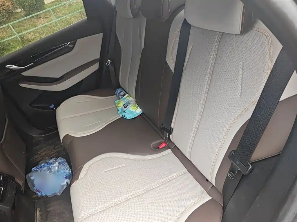 BYD Qin PLUS 2024 Glory Edition DM-i 55KM Leading фото 15