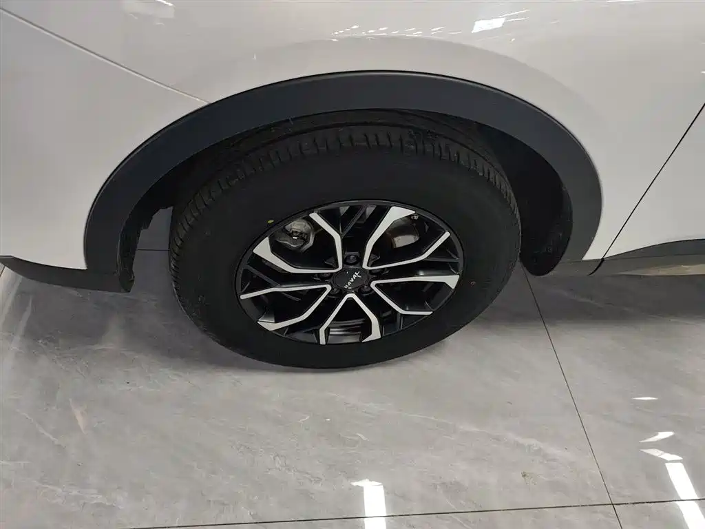 Haval H6 2023 National Trend Edition 1.5T Automatic Urban фото 25
