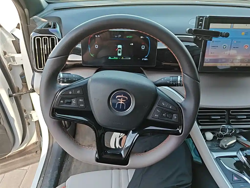 BYD Song Pro New Energy 2024 Glory Edition DM-i 71KM Pilot фото 11