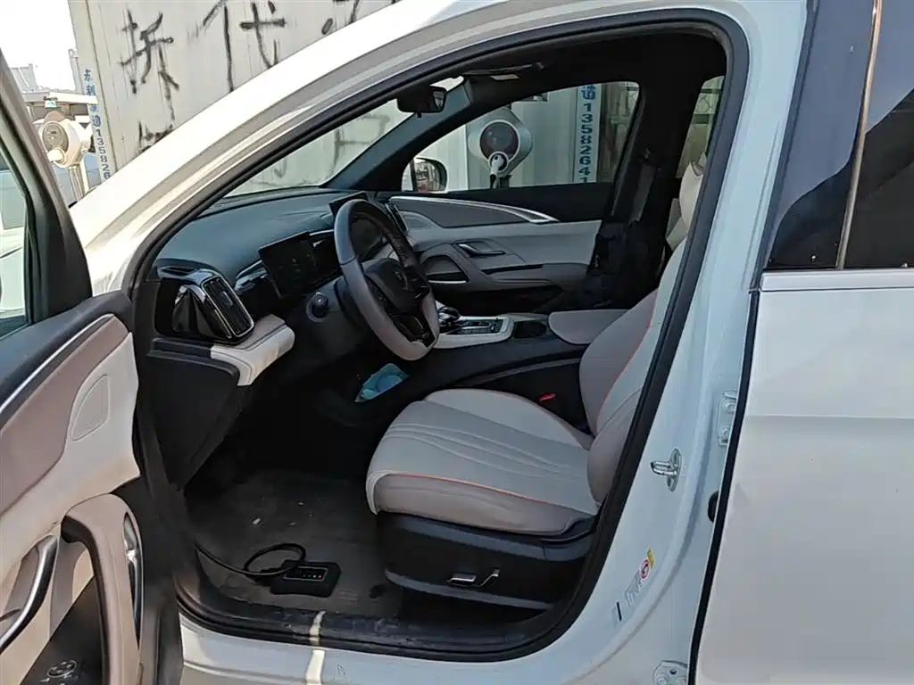 BYD Song Pro New Energy 2024 Glory Edition DM-i 71KM Pilot фото 15
