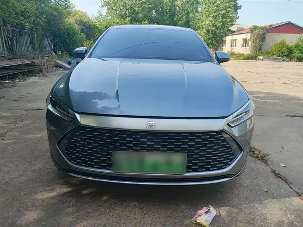BYD Qin PLUS 2024 Glory Edition DM-i 55KM Leading фото 3