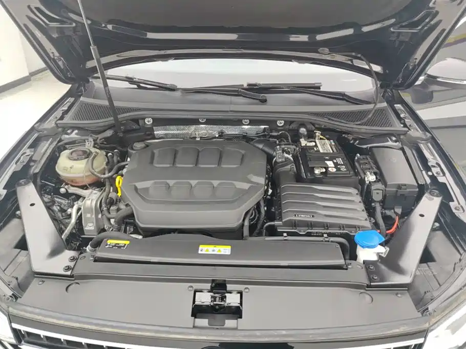Volkswagen Magotan 2023 2 Million Units Anniversary Edition 330TSI DSG Leading Type фото 10