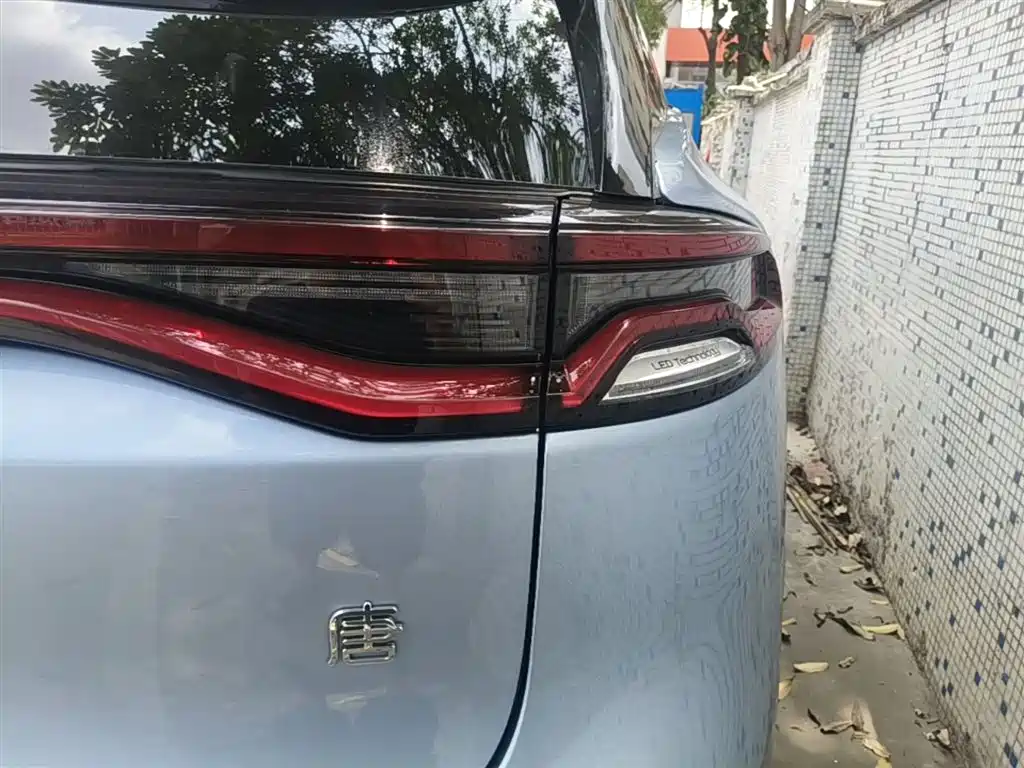 BYD Tang New Energy 2023 Model DM-i Champion Edition 112KM Honor фото 8