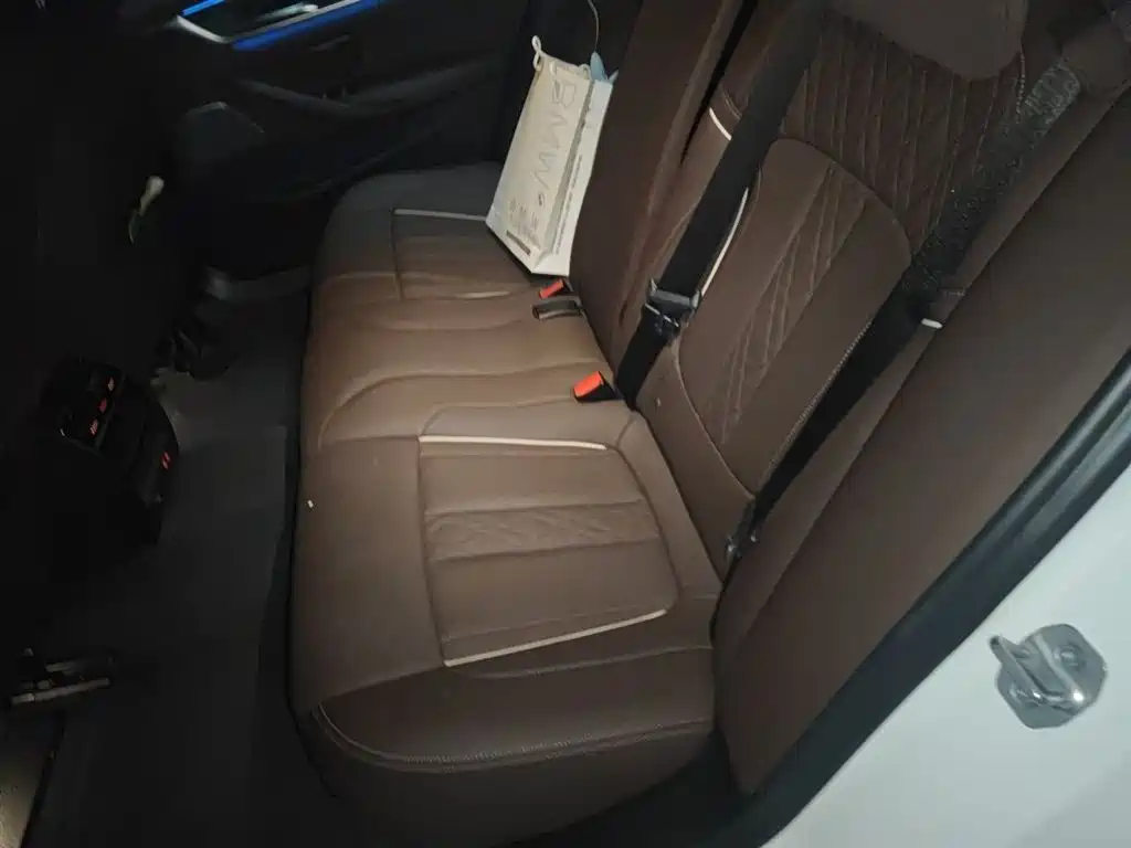 BMW 5 Series New Energy 2021 535Le Pioneer Edition M Sport Package фото 18