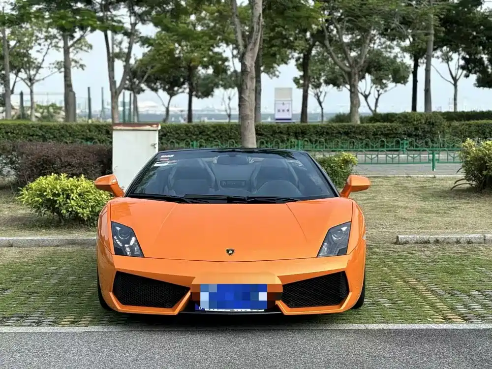Lamborghini Gallardo 2012 2009 Lamborghini LP 560-4 Spyder