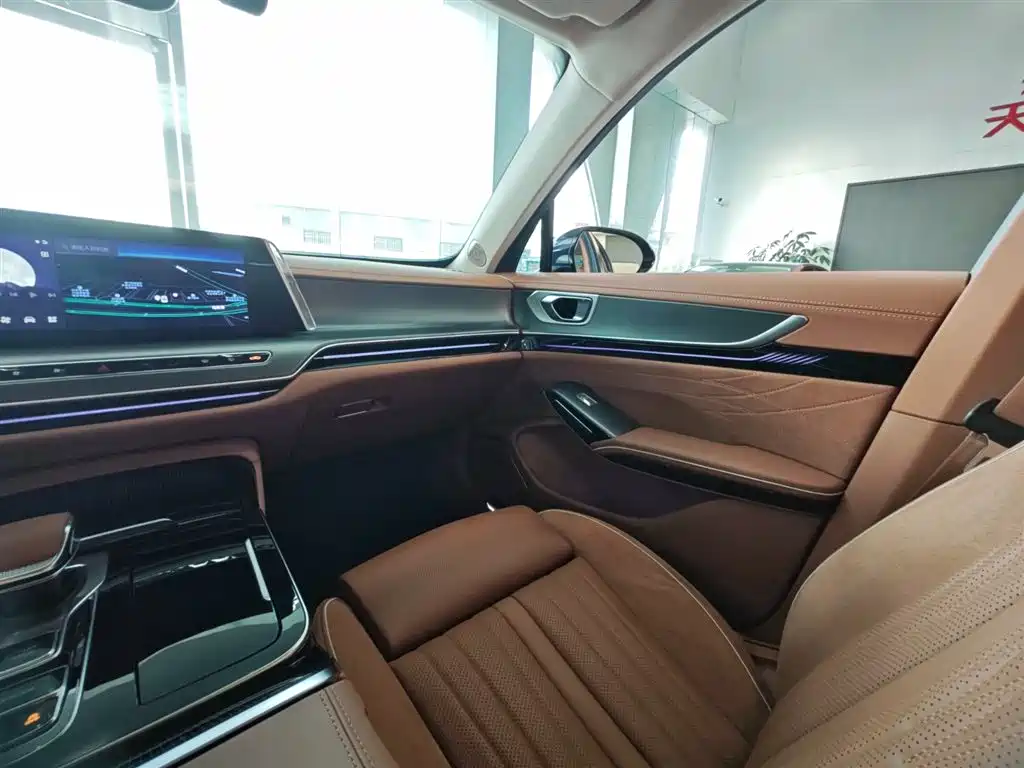صورة 12 - Hongqi H9
