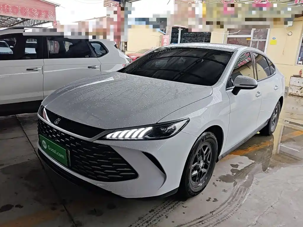 Фото 2 - BYD Qin PLUS