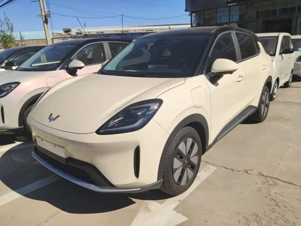 Wuling Motors Wuling Bingo S 2026 2025 Model 325km Premium Edition