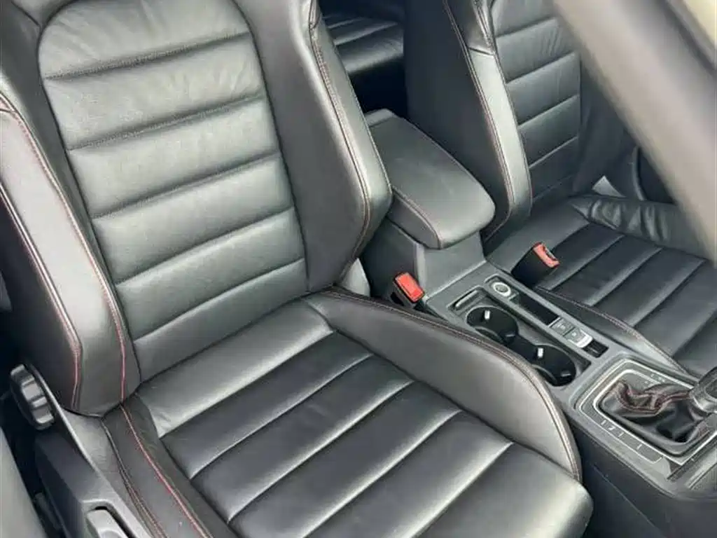Volkswagen Golf GTI 2016 2.0TSI GTI фото 8