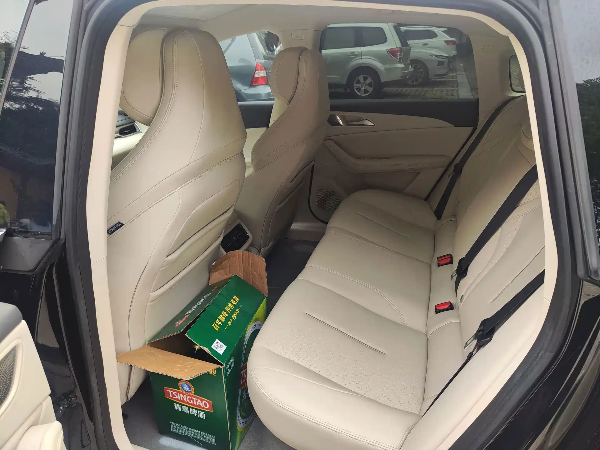 Фото 6 - Dongfeng Fengxing Stellar S7