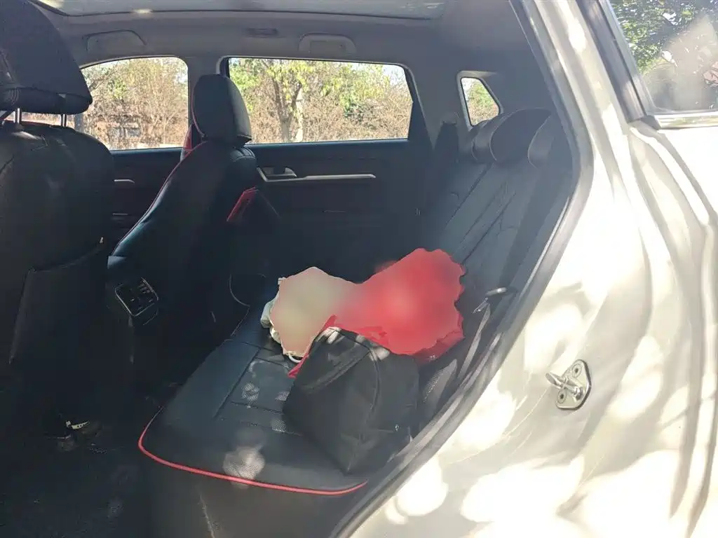 Haval H6 Coupe 2018 Red Label 1.5T Auto 2WD Luxury Edition фото 14
