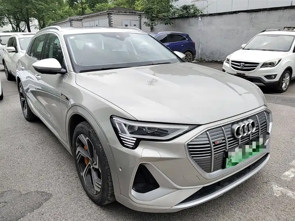 Audi e-tron 2021 50 quattro Exclusive Selection фото 7