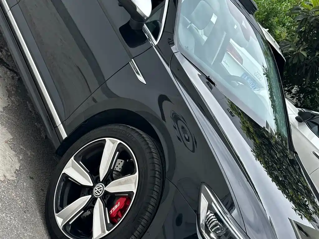 Volkswagen Magotan 2025 Popular Edition 330TSI DSG Luxury фото 27