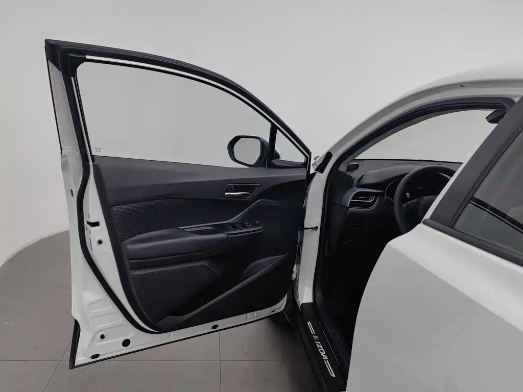 Toyota IZOA 2024 2023 2.0L Yi-Xiang Edition