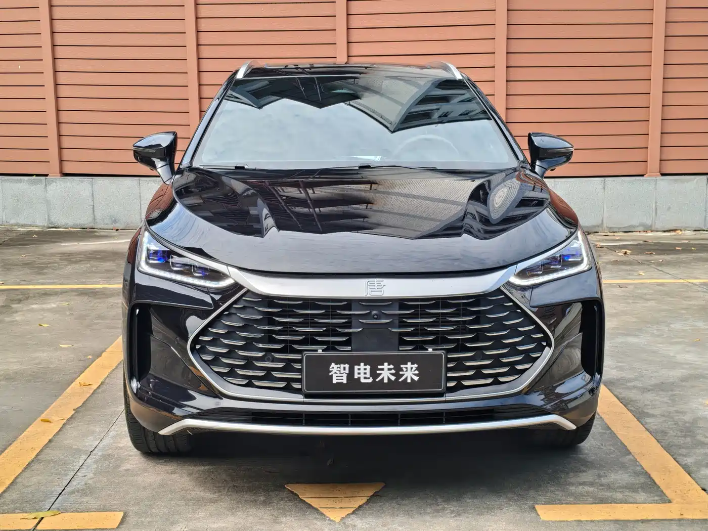 BYD Tang New Energy 2024 DM-i Honor Edition 112KM Premium фото 2