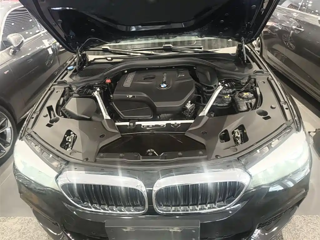 BMW 5 Series 2019 Facelift 525Li M Sport Package фото 20