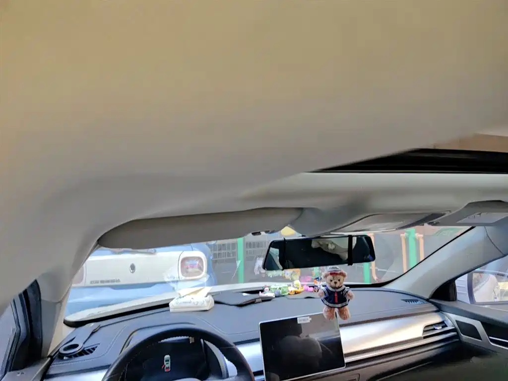 BYD Qin Pro New Energy 2019 DM Super Edition 1.5TI Automatic Smart Connected Jin Xuan Type China VI фото 9