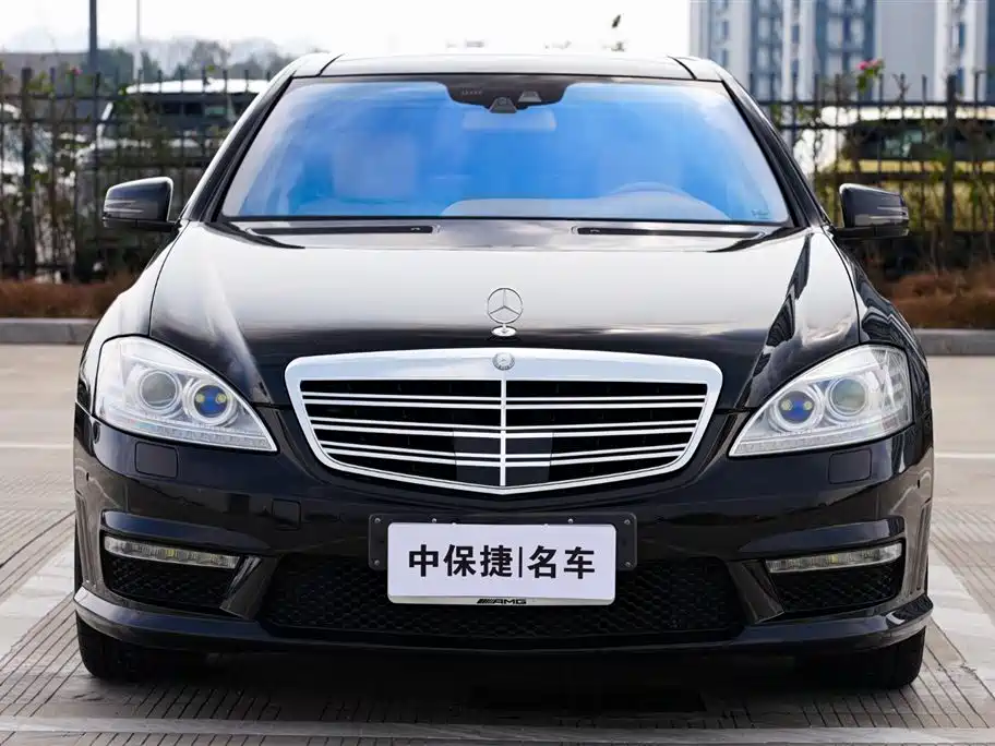 Mercedes-Benz S-Class 2010 S 600 L фото 3