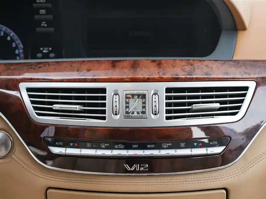 Mercedes-Benz S-Class 2010 S 600 L фото 19