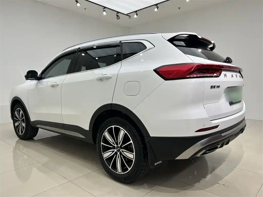 Haval H6 2023 National Trend Edition 1.5T Automatic Champion фото 7