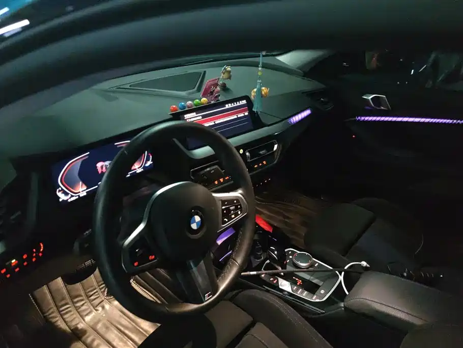 BMW 2 Series (Import) 2023 225i 4-Door Coupe M Sport Shadowline Package фото 13