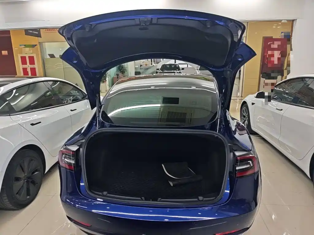 Tesla Model 3 (Import) 2019 2019 Long Range RWD Version