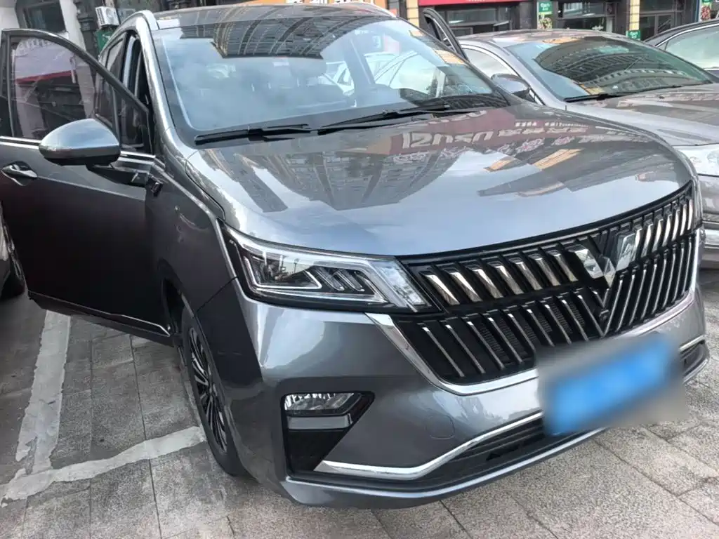 Wuling Motors Wuling Jiachen 2024 2022 1.5T CVT Exclusive Flagship Model