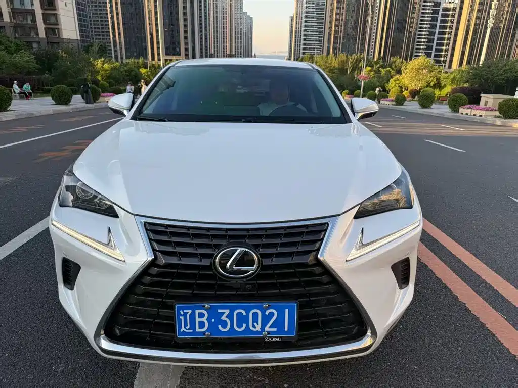 Lexus NX 2020 200 FWD Sharp Edition China V фото 2
