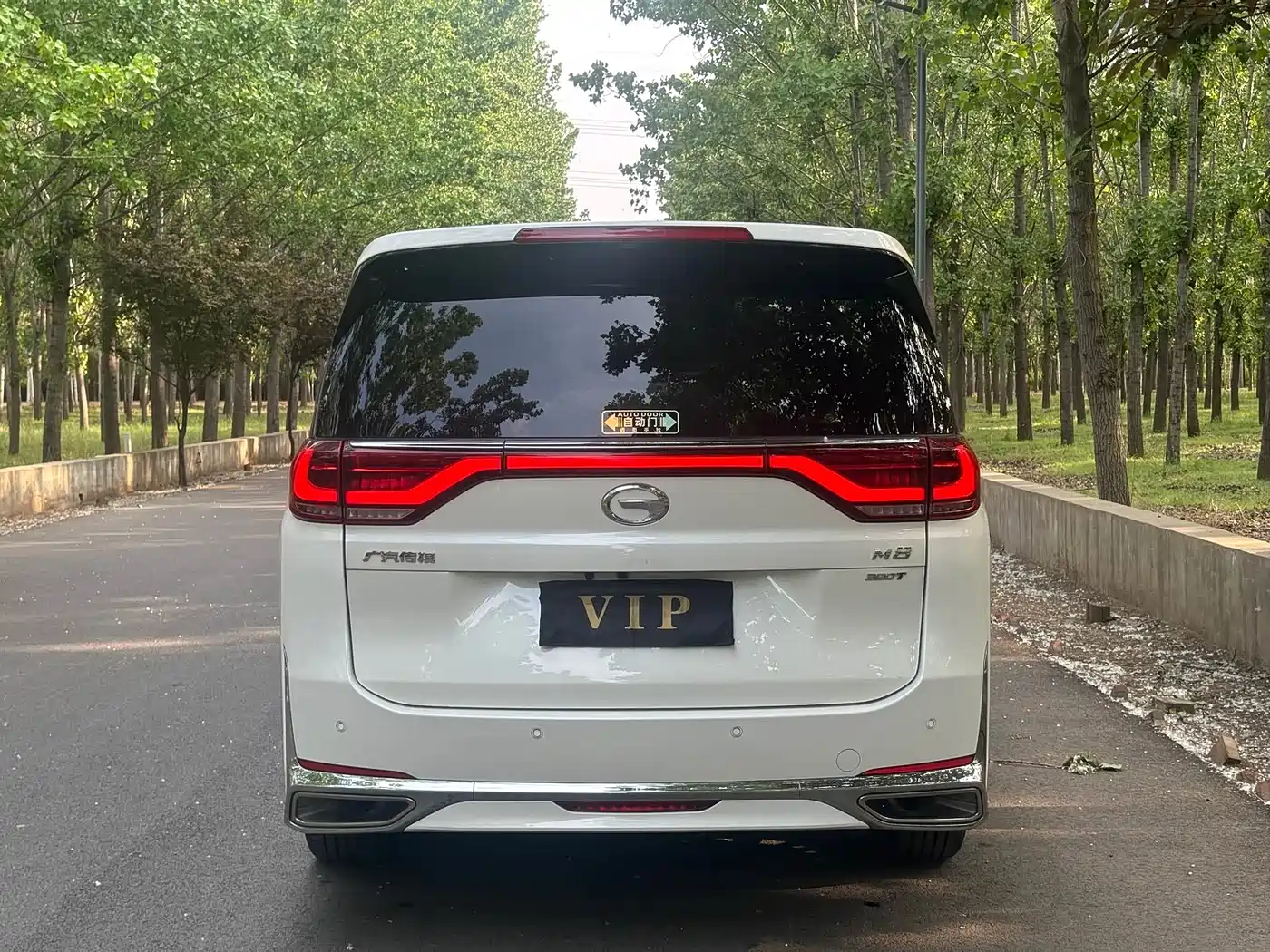 GAC Trumpchi Trumpchi M8 2021 Leading Show Series 390T Ultimate Edition фото 4