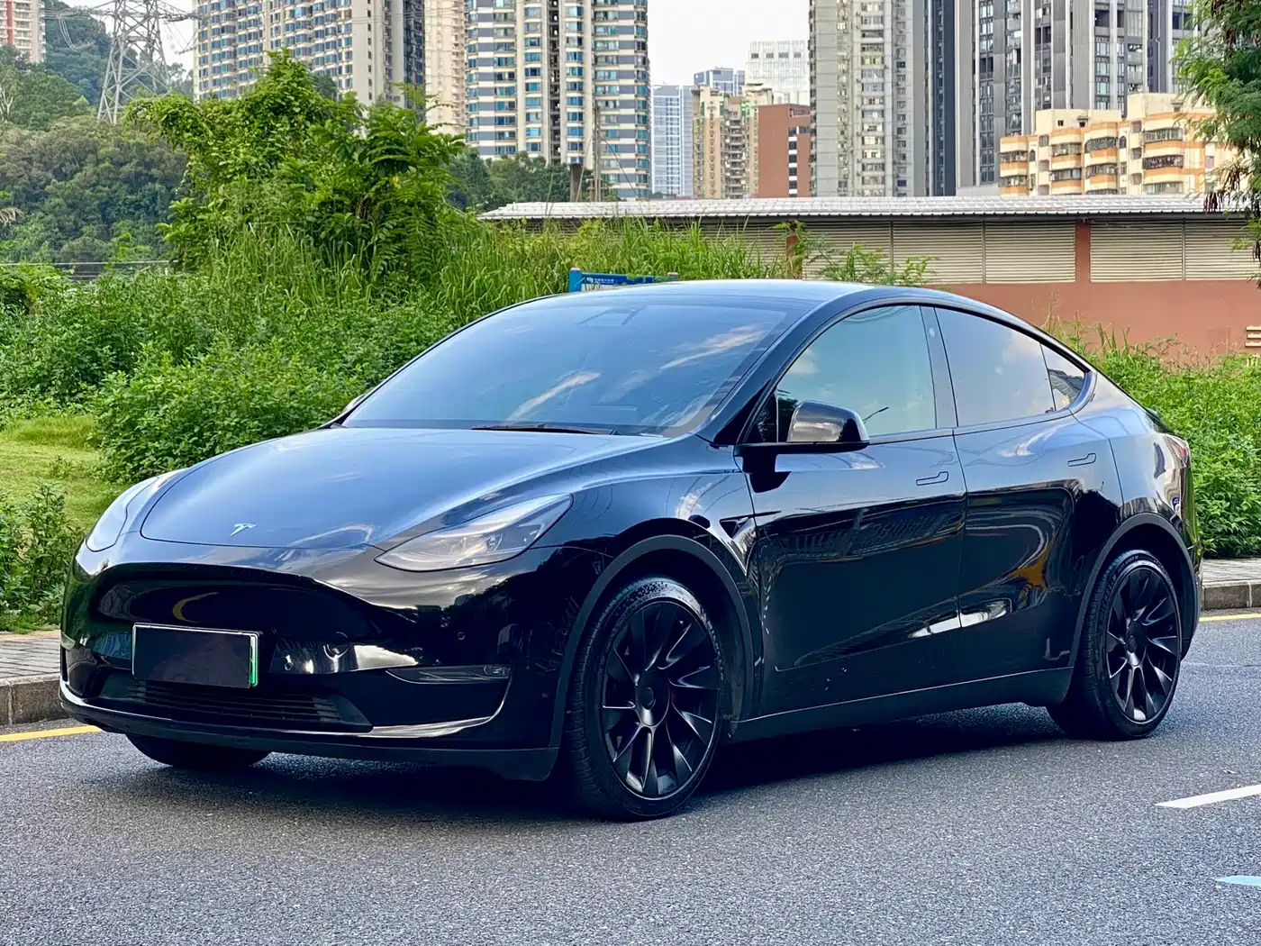  Tesla Model Y 2021 Standard Range Rear-Wheel Drive