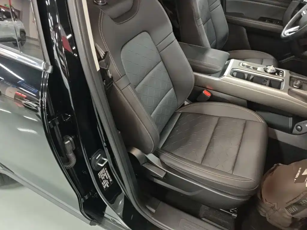 Haval Big Dog 2025 2024 1.5T DCT Border Collie Edition