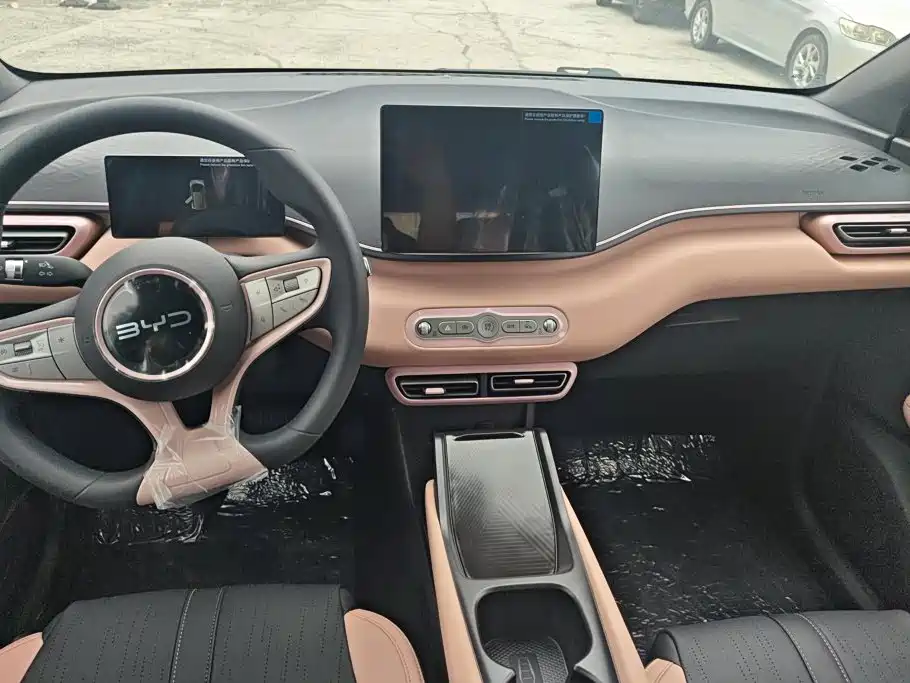 BYD Seagull 2026 2025 Smart Drive Edition 305km Vitality Version