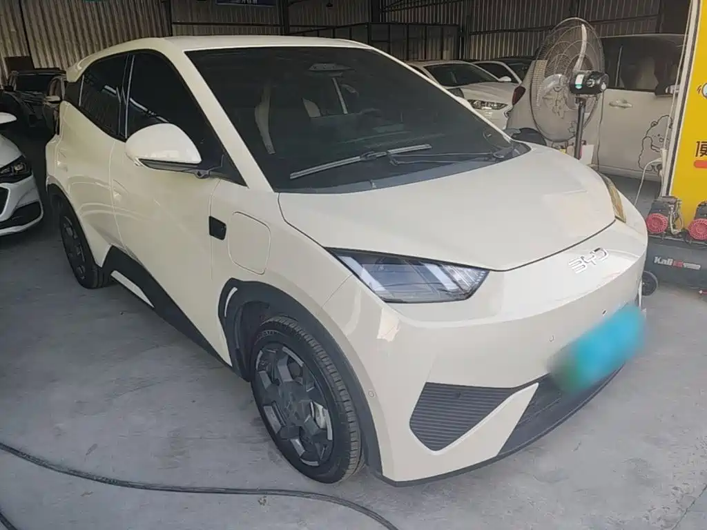 BYD Seagull 2026 2025 Smart Drive Edition 305km Freedom Version