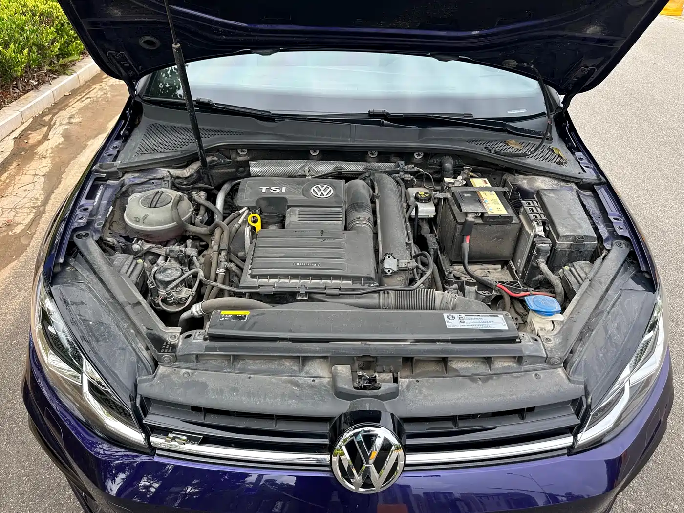 Volkswagen Golf 2019 280TSI DSG R-Line China VI фото 20
