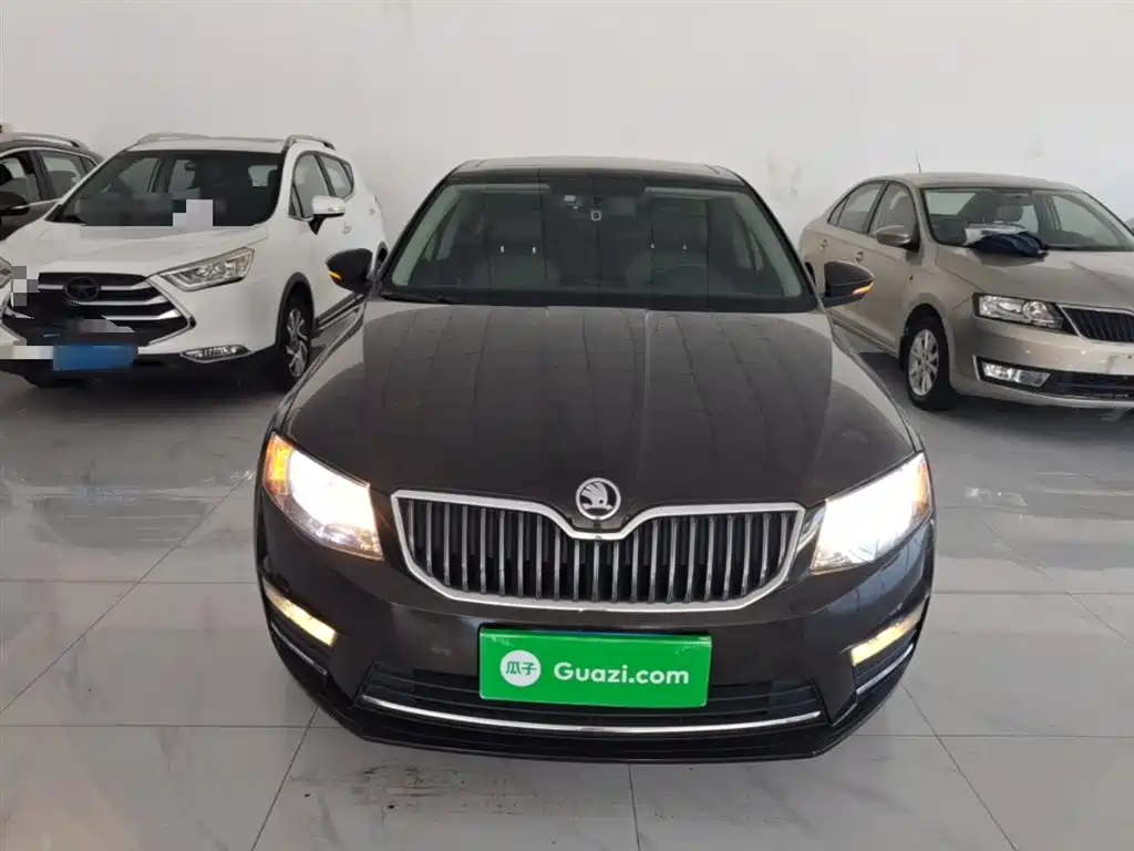 Škoda Octavia 2017 1.6L Automatic Pioneer Edition фото 3