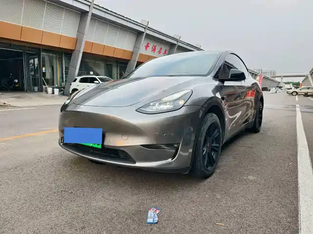 Tesla Model Y 2022 Rear-Wheel Drive Version